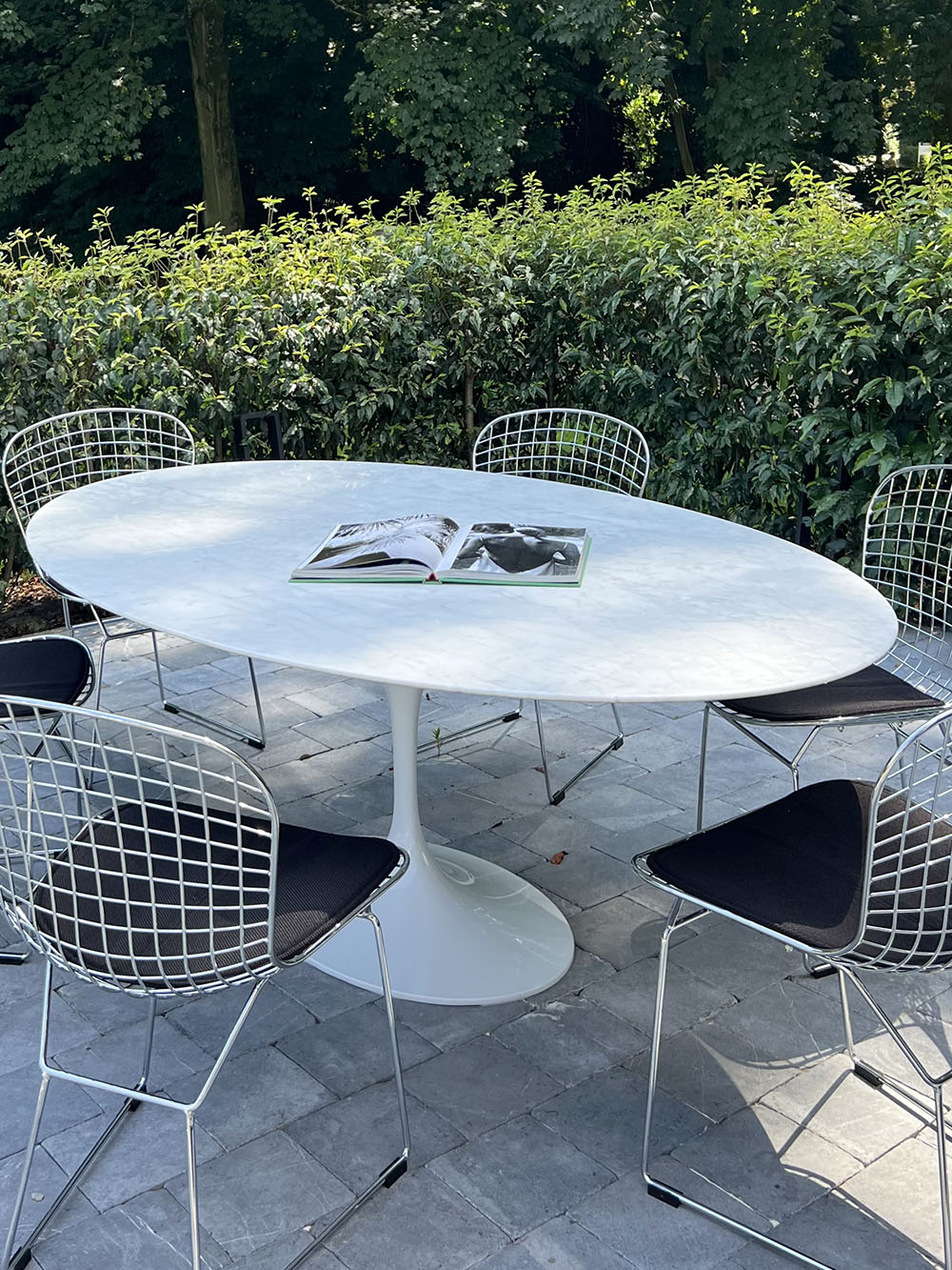 Ontdek de pure elegantie en stijl met onze ovale Poppy Tulip tafel, voorzien van een luxueus Bianco Carrara marmeren blad van 200cm op 120cm.